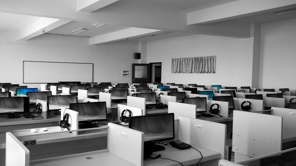 Réduire l'empreinte carbone des entreprises : enjeux et solutions